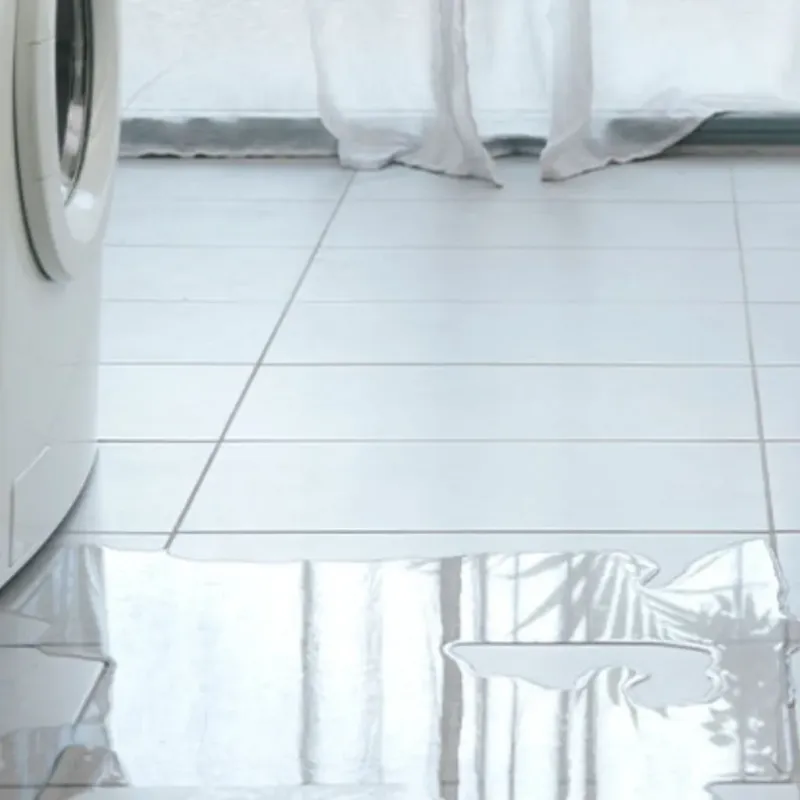 Appliance Leak Cleanup in Butte County, ID